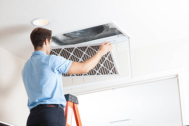 Best HVAC System Installation  in Roselle, IL